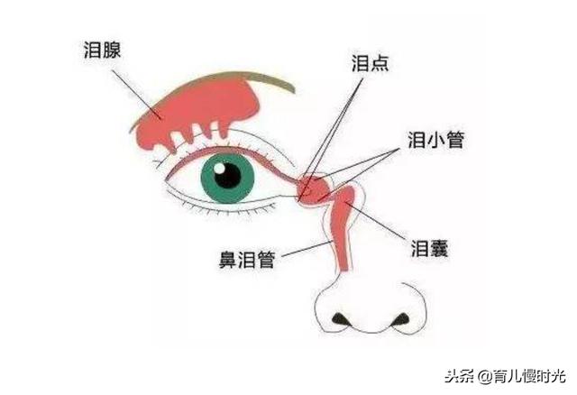 宝宝眼屎多，是上火了吗？可别耽误了孩子