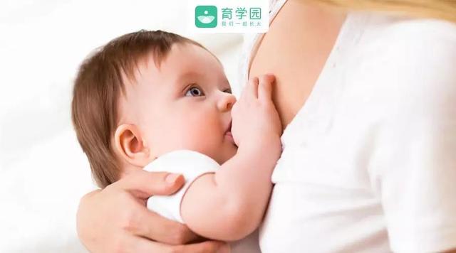 谁说母乳“稀”就是没营养？里面好东西可多呢！