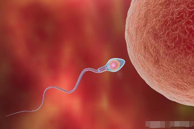 月经走后几天，女人一“撞”就怀孕？你可能错过了“这个时间”！