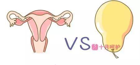 子宫的位置，会影响怀孕？如果你听说过“倒立术”，更应该看看