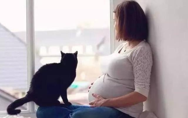 怀孕七个月，孕妈半夜听到肚子里传来哭声，去医院检查后老公痛哭