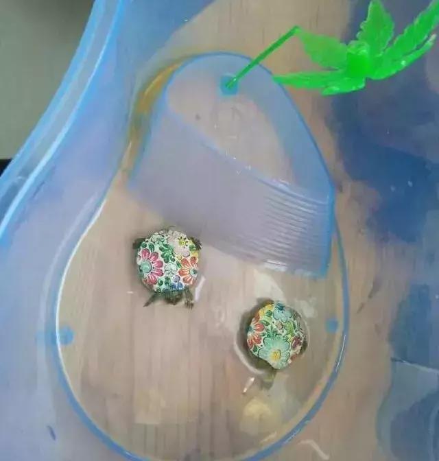 植物角、主题墙、区域材料……一篇搞定幼儿园环创