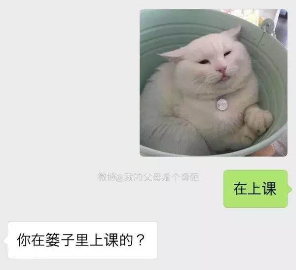 亲子尴尬时间！不要和爸妈发表情包了！