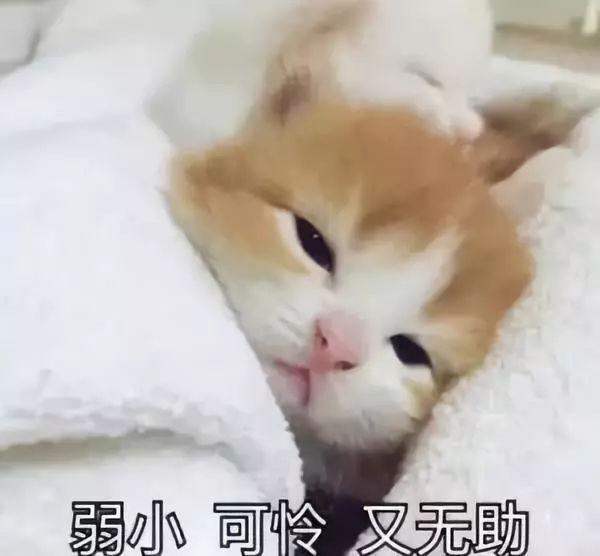 天冷了，孩子磨蹭千万不要催，但一定得帮孩子改！