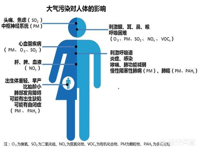 雾霾天该如何减少身体损害？市面上这么多种口罩，该选哪种？