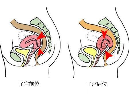 怀孕50天就去做彩超，做完看不懂？别急，3分钟教你看懂彩超单