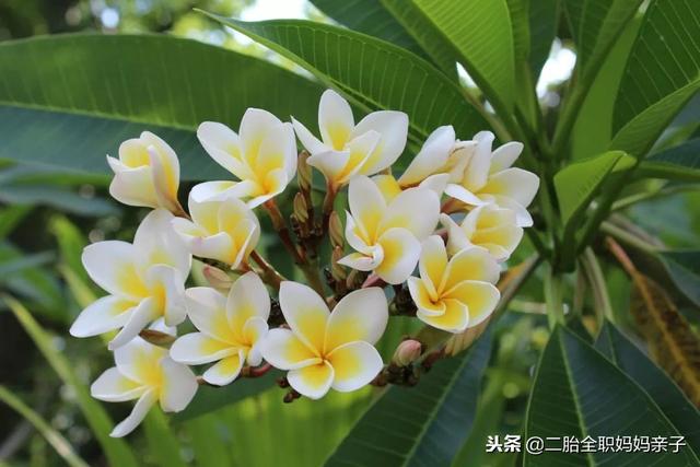 没错！青春叛逆期孩子的一切叛逆行为都合情合理！
