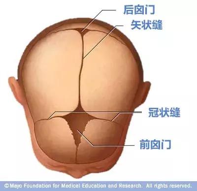 宝宝的囟门很重要，这两件事不能做