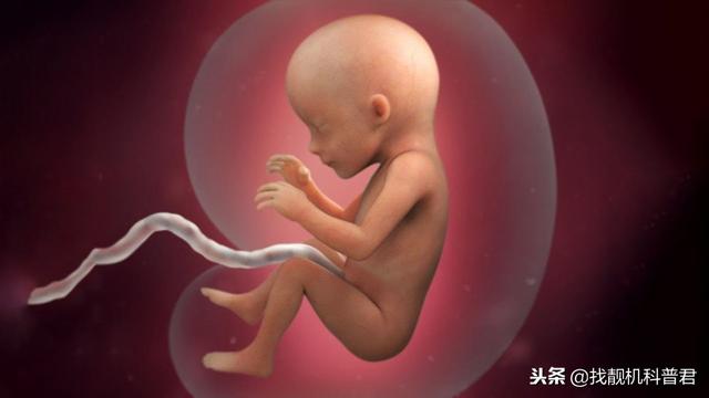 黄鳝小时候是雌性，为什么长大后会变成雄性？
