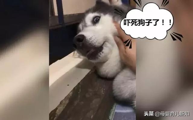 千万不要得罪妇产科医生，否则后果你承受不住啊