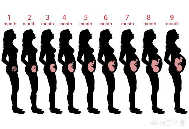 怀孕2个月肚子大得像个球，6个原因8成和孕妇有关，别错怪了胎儿