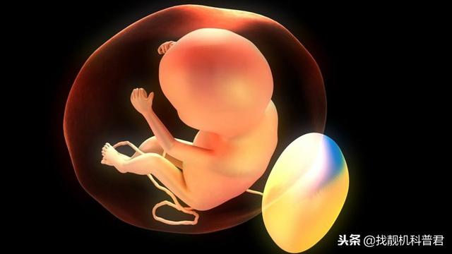 黄鳝小时候是雌性，为什么长大后会变成雄性？
