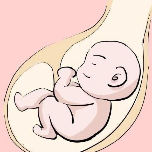 怀孕8个月胎儿心跳加速胎死腹中，和2大因素有关，做好5点可预防