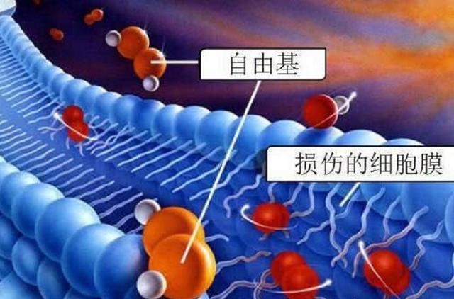 真相：为什么现代女性更愿意生女宝宝？原来是因为更爱自己！
