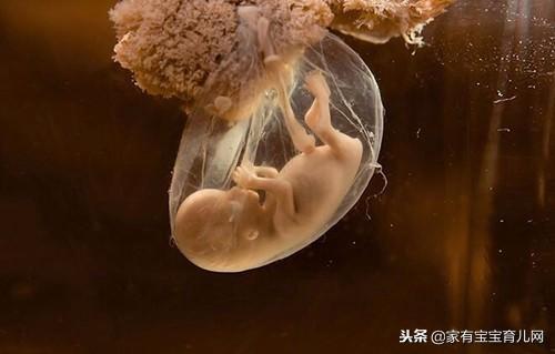 怀孕后心慌气短，竟对宝宝危害这么大，还好我知道了这些！