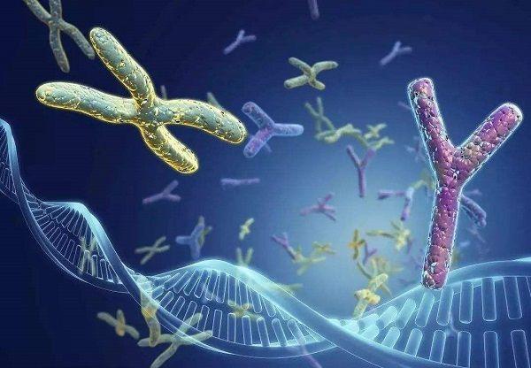 辟谣！捏鼻梁不仅不会让孩子鼻梁变高挺，反而会引发其他疾病