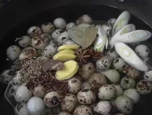 不想让孩子输在起跑线上，多吃“它”，补脑明目，增强记忆力