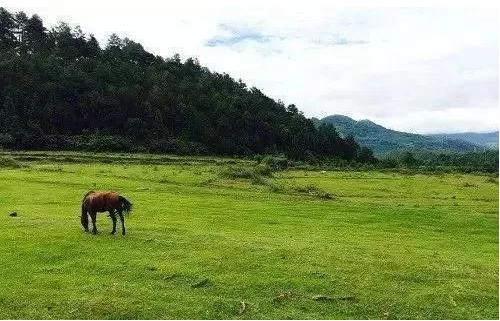 带着父母去旅居：别忘了，他们也做过环游世界的梦