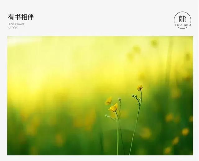 别让你的面子，毁了你的孩子