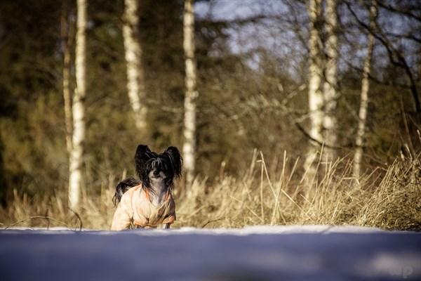 宝宝感冒 别忘“两适一勤”