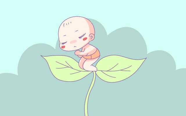 哈佛大学研究：不同季节出生的孩子性格智商不一样，你家是这样吗