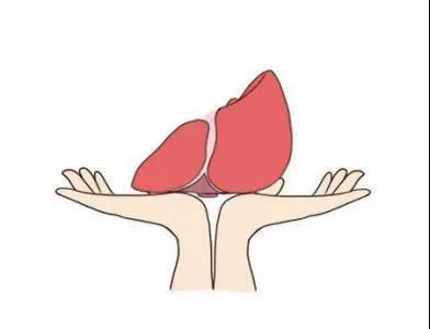 碱性磷酸酶升高就是肝功能异常吗？