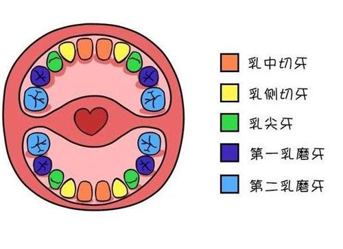 重视宝宝乳牙健康讲究多，不仅仅是不吃甜食这么简单