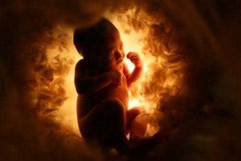 怀孕后，当孕妈在玩着手机熬着夜，意外吗？胎儿却在做这些事情