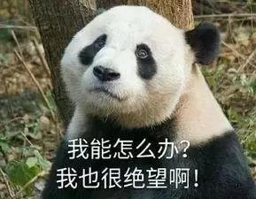 混血宝宝有多好看？这是我今年看过颜值最高的人！