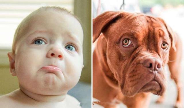 如何改掉孩子经常生气的毛病？育儿专家：十种原因，十个方法