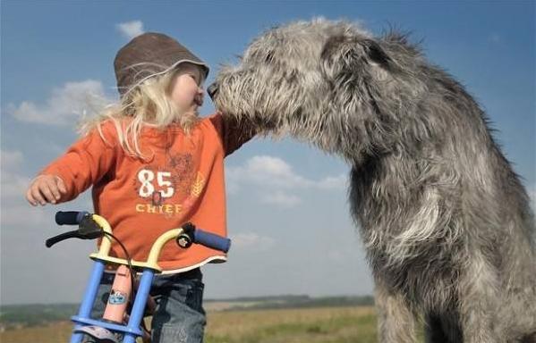 宝宝不小心磕碰受伤，伤口这样处理，才能防感染，少受罪，不留疤
