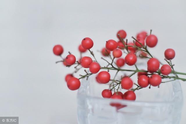 0-3岁是脑力发育的黄金时期，30首古诗教宝宝背，宝宝更聪明！