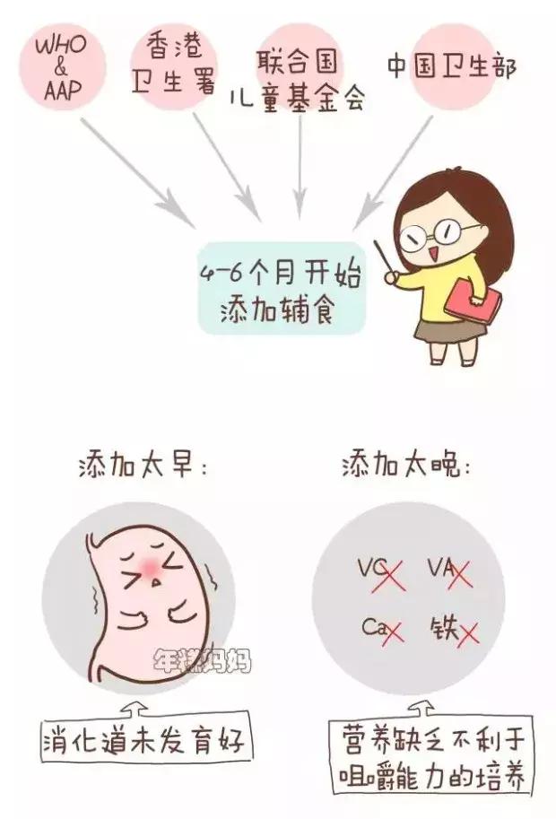 从6个月到2岁，宝宝饮食的8个技能点，每一步都很重要！