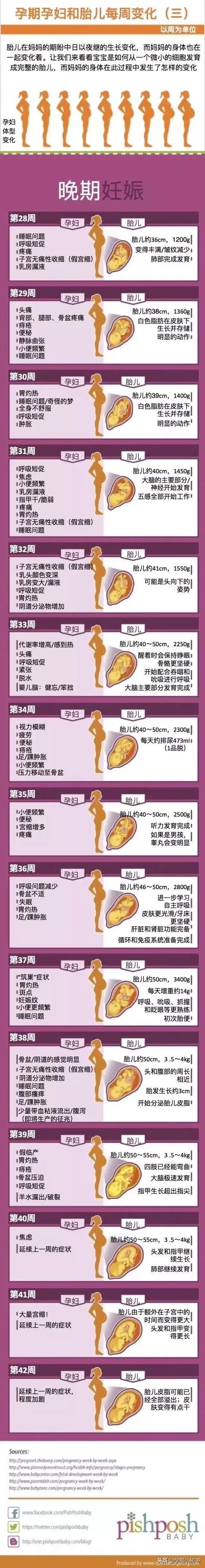 孕期孕妇的每周变化，麻麻们收藏了吗？