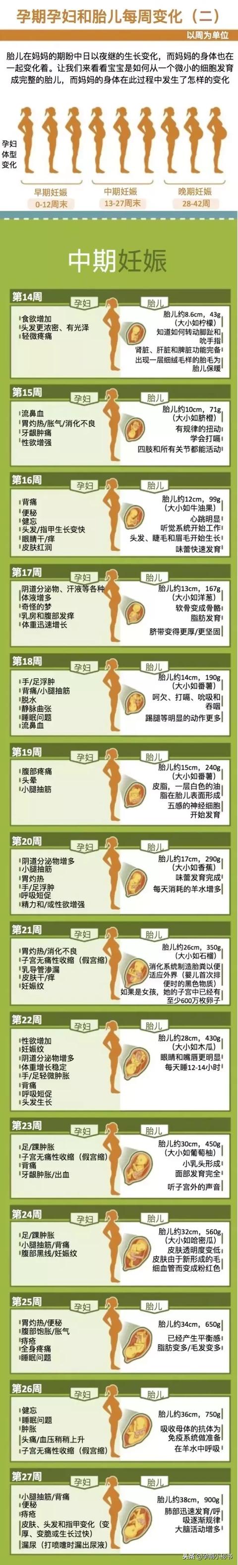 孕期孕妇的每周变化，麻麻们收藏了吗？