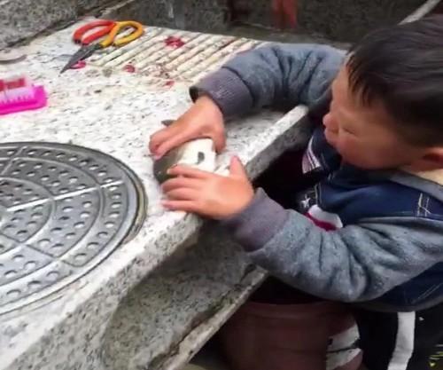 宝宝看见奶奶杀鱼，哭着把鱼救下放进水里，喝鱼汤时宝宝的话笑喷了