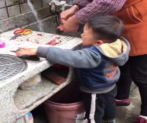 宝宝看见奶奶杀鱼，哭着把鱼救下放进水里，喝鱼汤时宝宝的话笑喷了