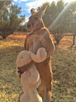 奶爸带娃出门走红，转身那一刻，都想去做宝宝了