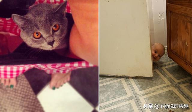 国外父母发起带孩子分享照活动，最后发现孩子是一“无解”的存在