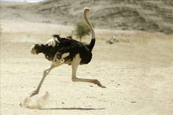 看了这些冷知识，才知道自己错了很多年「吃瓜围观系列三」