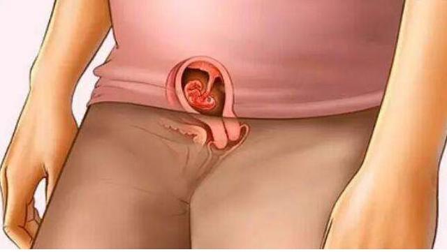 孕妈怀胎十个月，宝妈身体是如何变化的