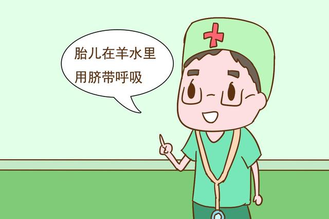 为什么人在水里坚持不到两分钟，而胎儿在羊水里九个月都没事？