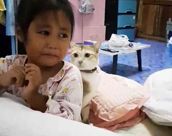 妈妈打宝宝，橘猫发火了，猫：你给我老实点！