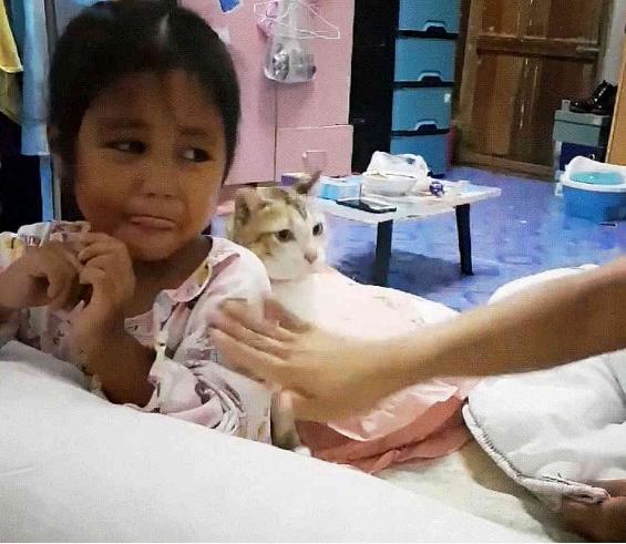 妈妈打宝宝，橘猫发火了，猫：你给我老实点！