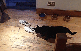 去味、除臭、杀菌，1秒除臭不伤鞋袜不伤脚！