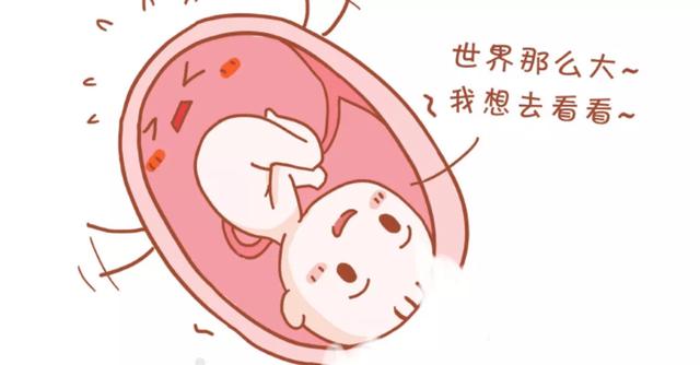 胎宝宝在肚子里多少周睁开眼睛？