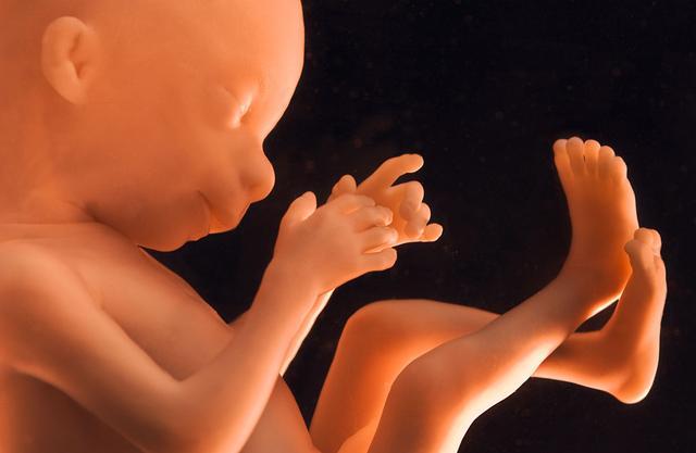 宝宝那么爱你，原来ta出生前就有了记忆