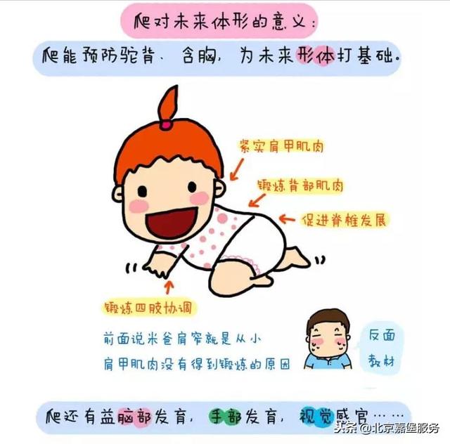 学会这几招，辅助锻炼宝宝爬行，大有益处~