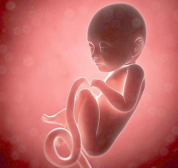 从发动到降生，短短的产道内外，宝宝经历了哪些？比妈妈表现淡定