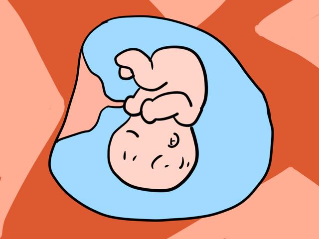7~8月份是最佳受孕时间，这个阶段怀孕，对胎宝和孕妈都有好处！